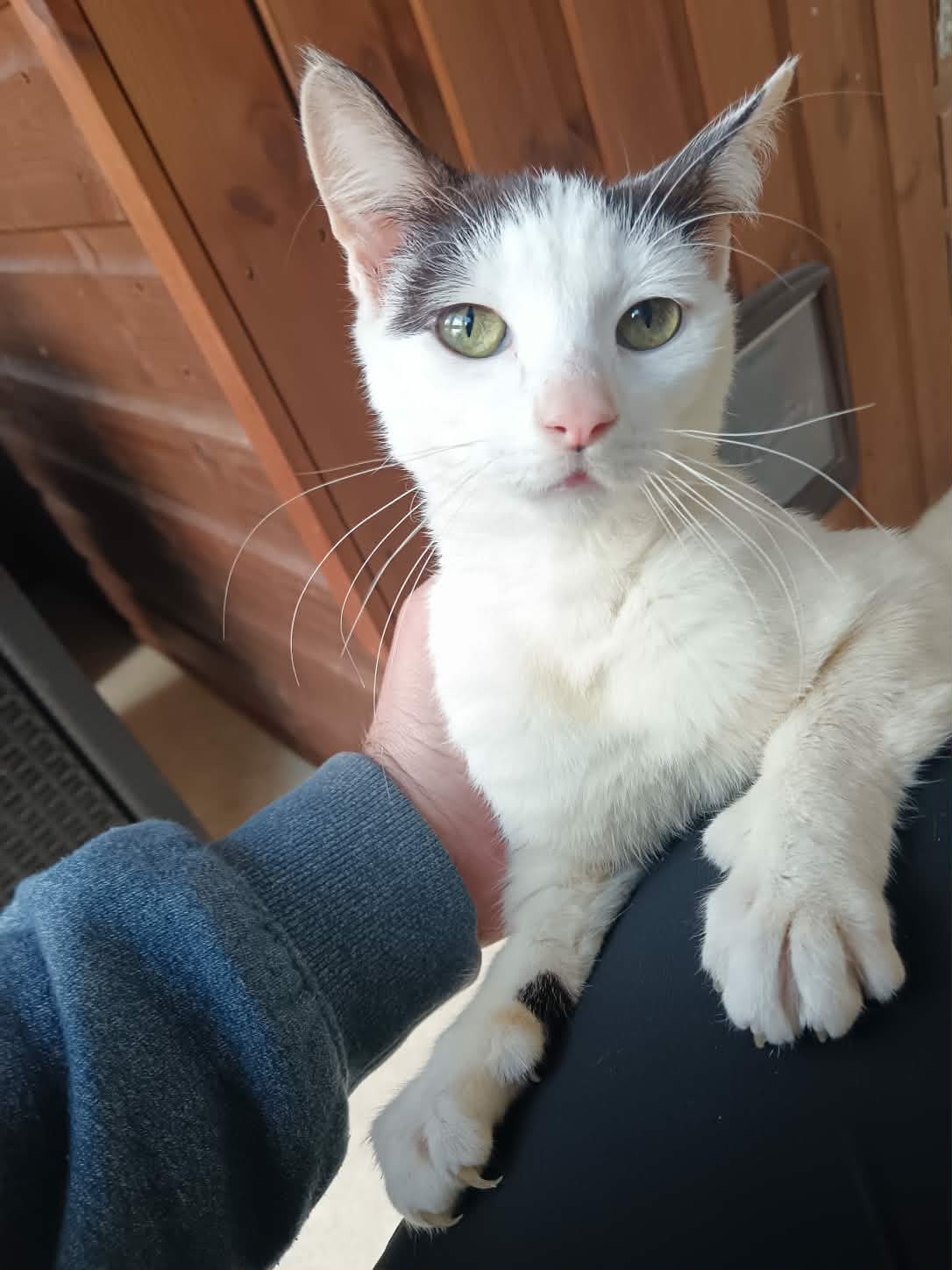 lennon